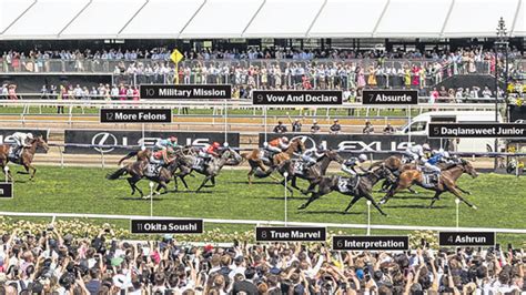 Melbourne Cup results 2023: Finishing order .